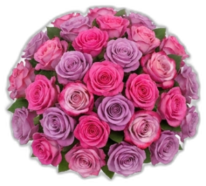 Pembe-Mor