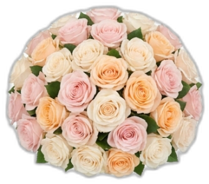 Pastel Karışım