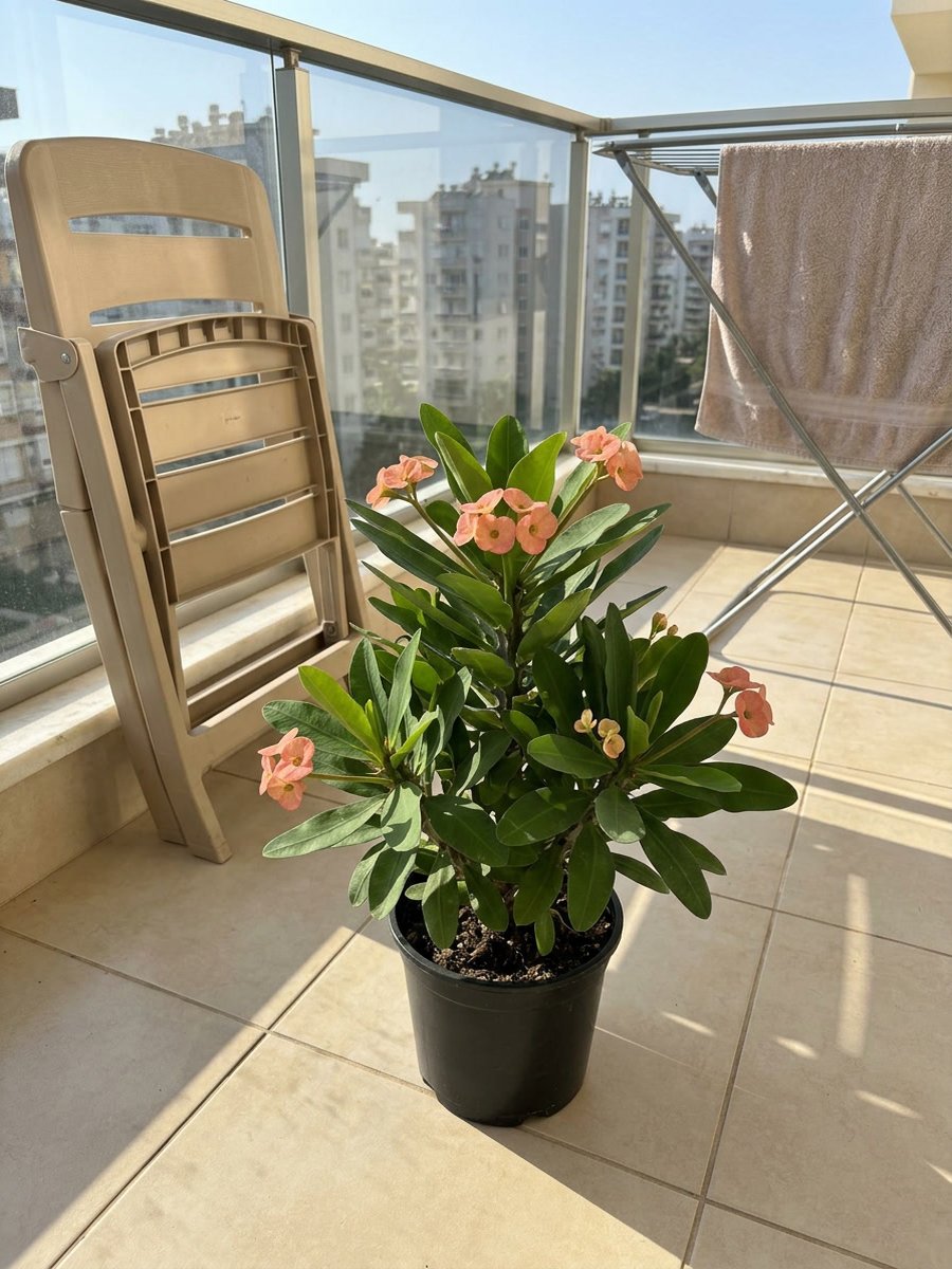 Müşteri fotoğrafı