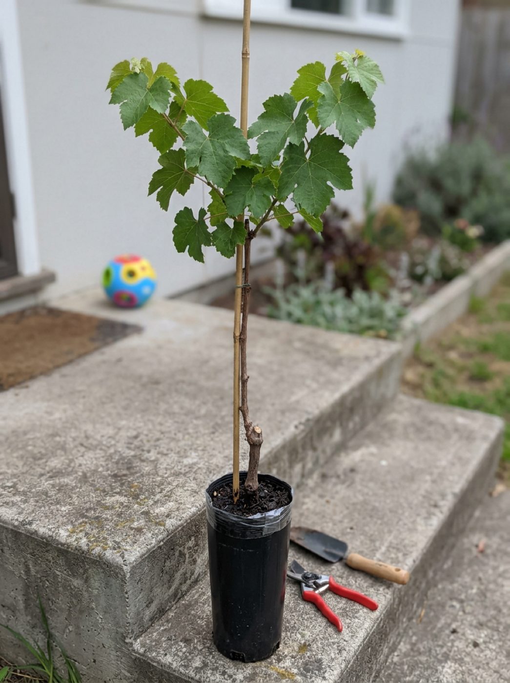 Müşteri fotoğrafı