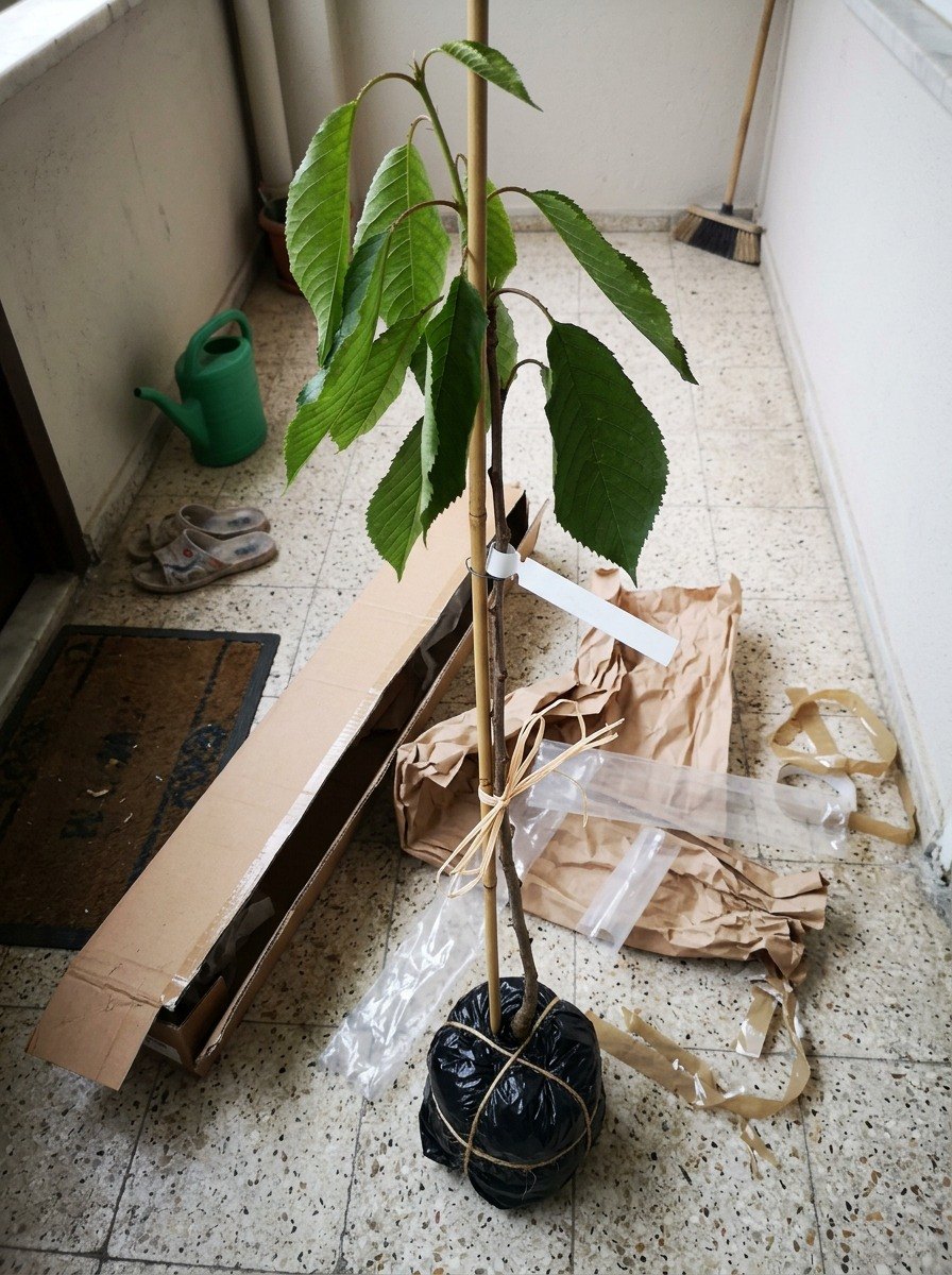 Müşteri fotoğrafı
