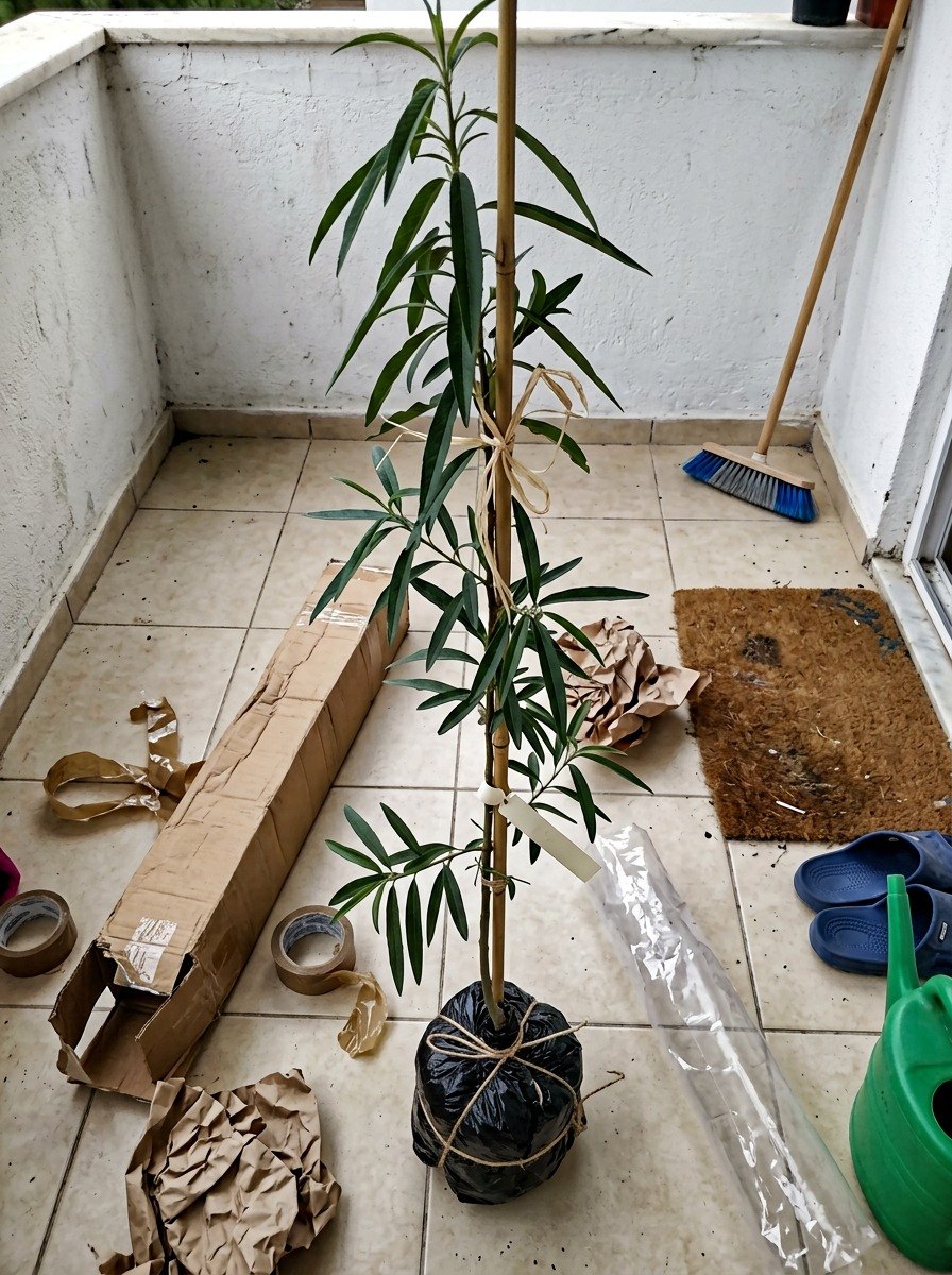 Müşteri fotoğrafı