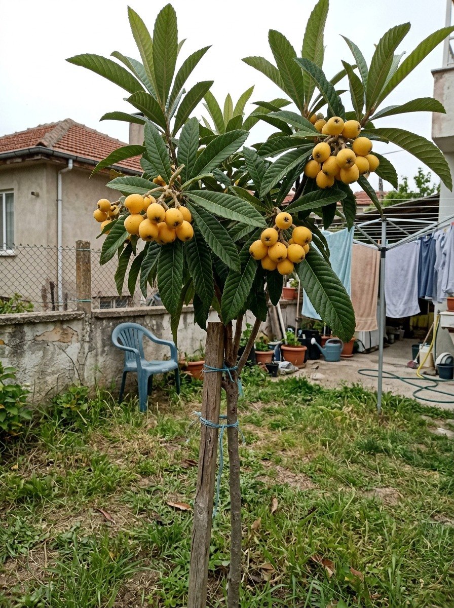 Müşteri fotoğrafı